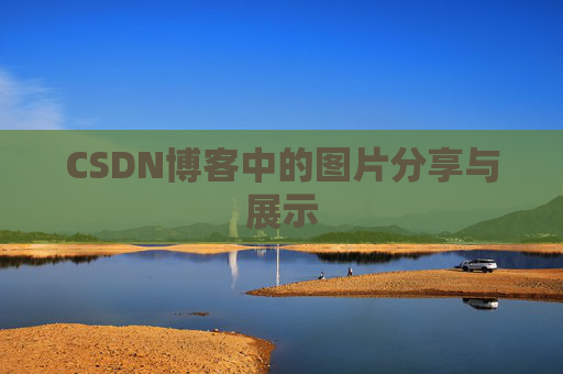 CSDN博客中的图片分享与展示